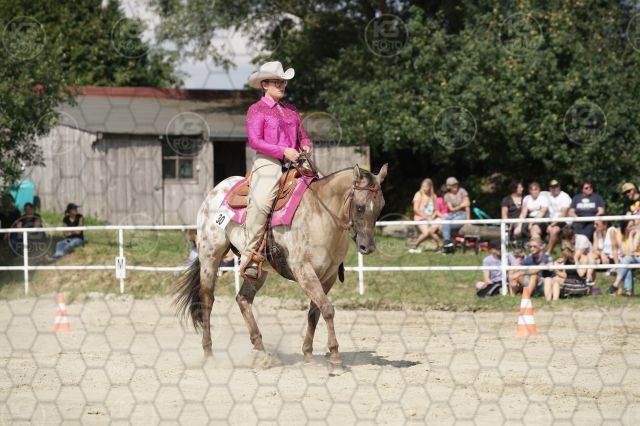 s_K3F07375.JPG